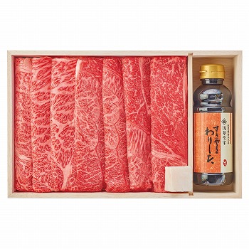 󑐍 јaėpZbg (AN-100W)